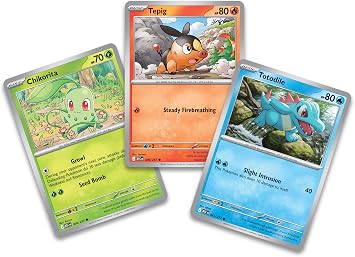 Pokemon First Partner Illustration Collection